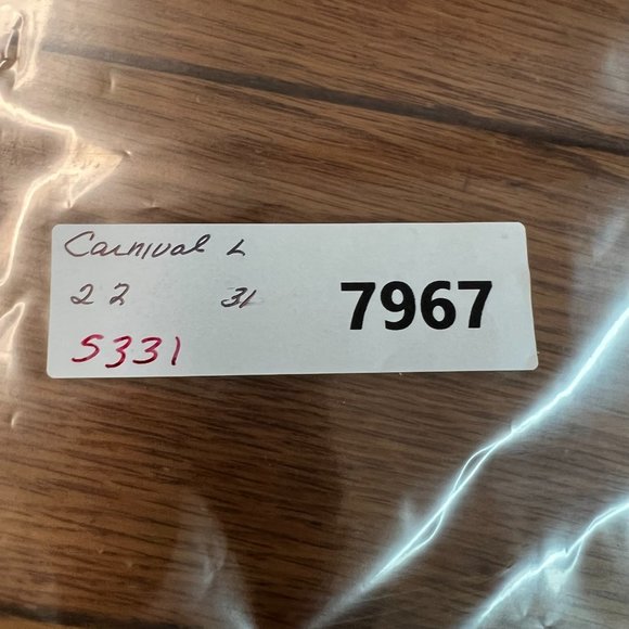 Carnival Cruise Tank Top Menes Size L Green Inspiration Fun Ship Graphic Tee - Picture 8 of 8